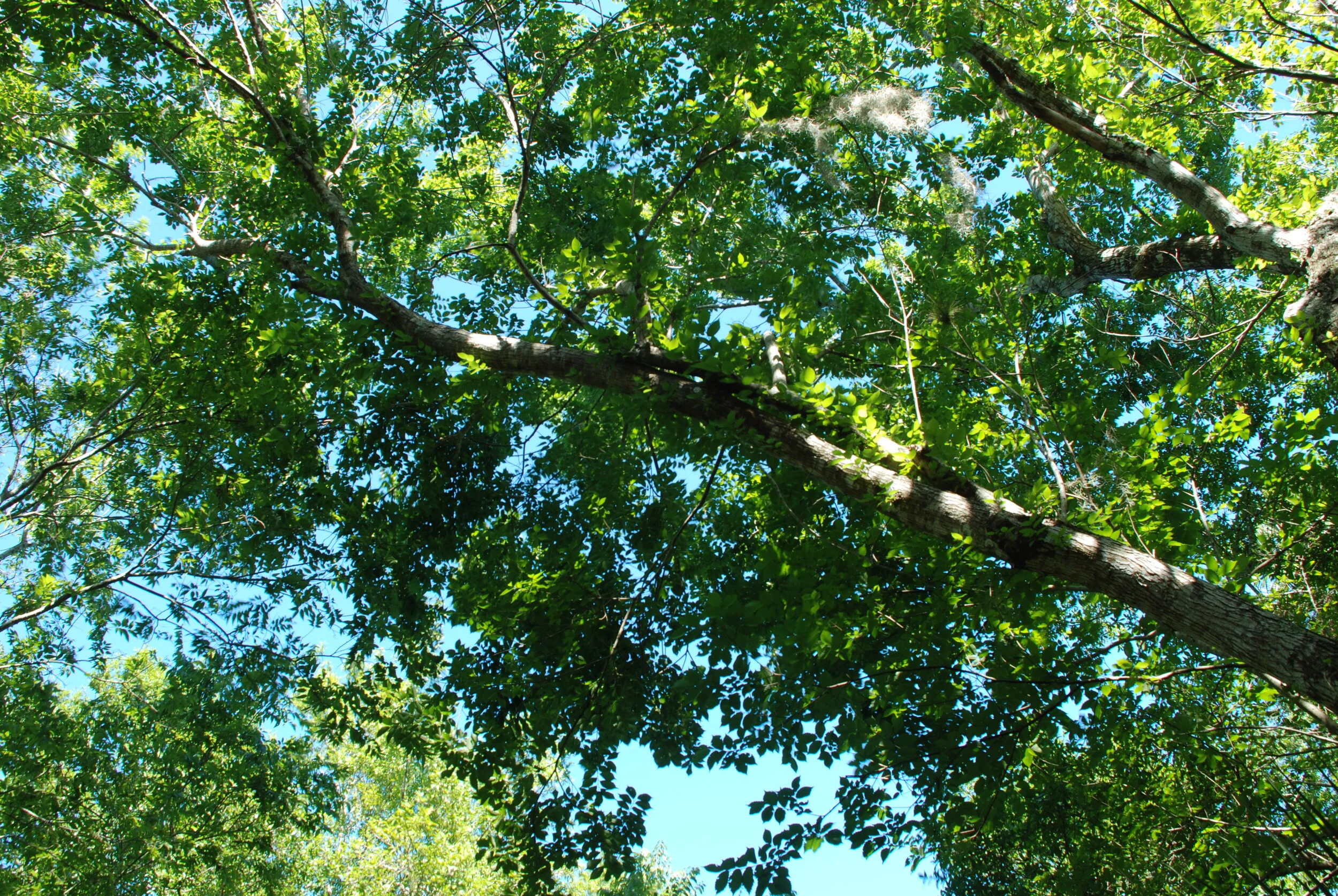 DSC_0171.JPG