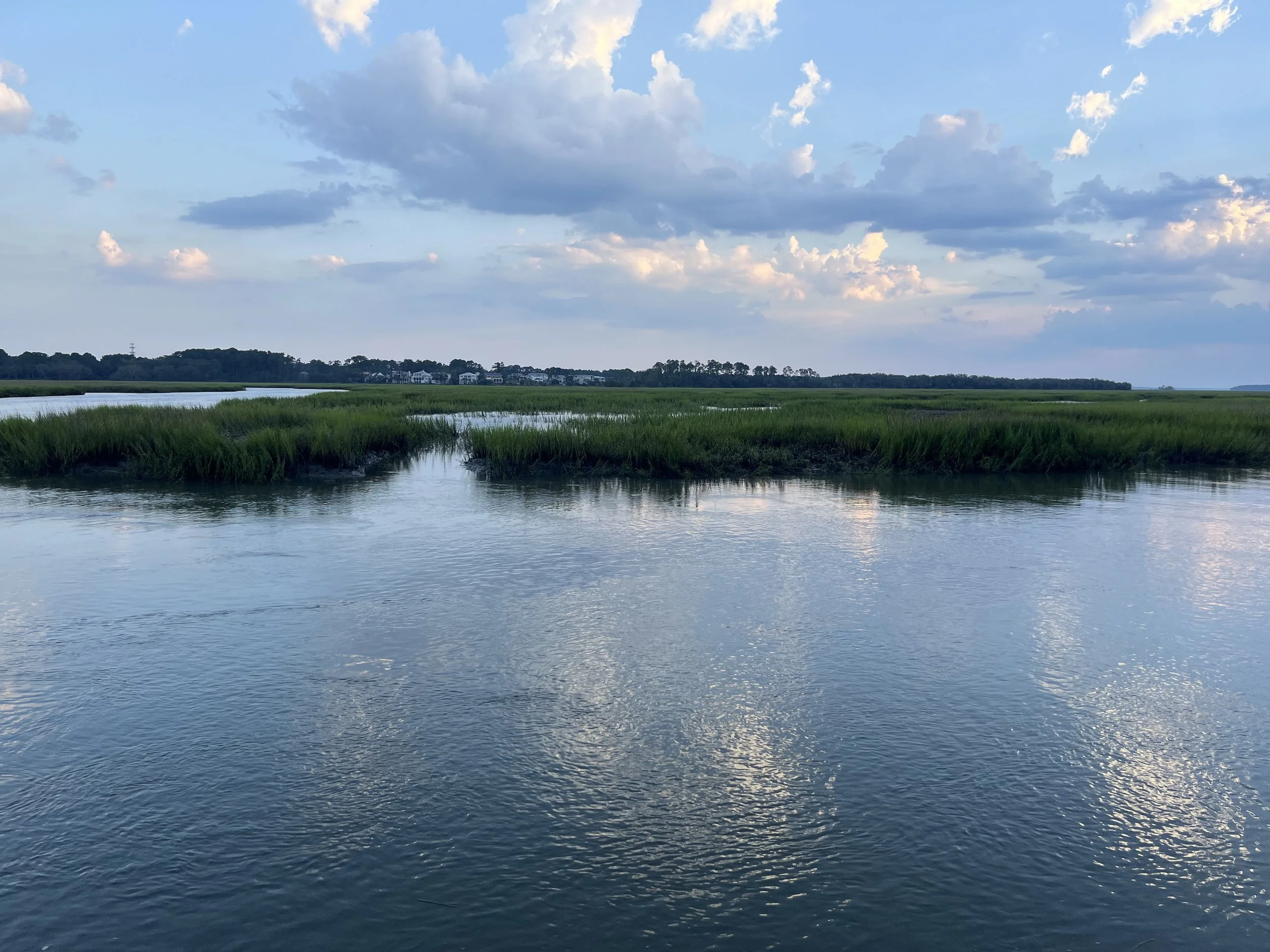 IMG_9883.jpeg