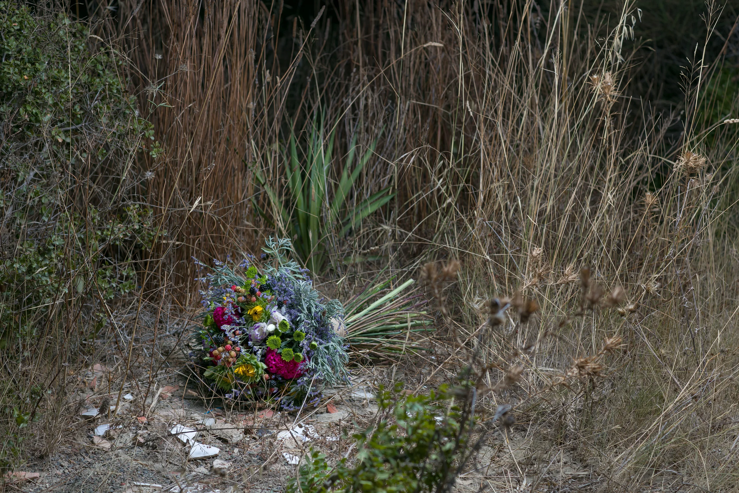 _A_F4443.jpg