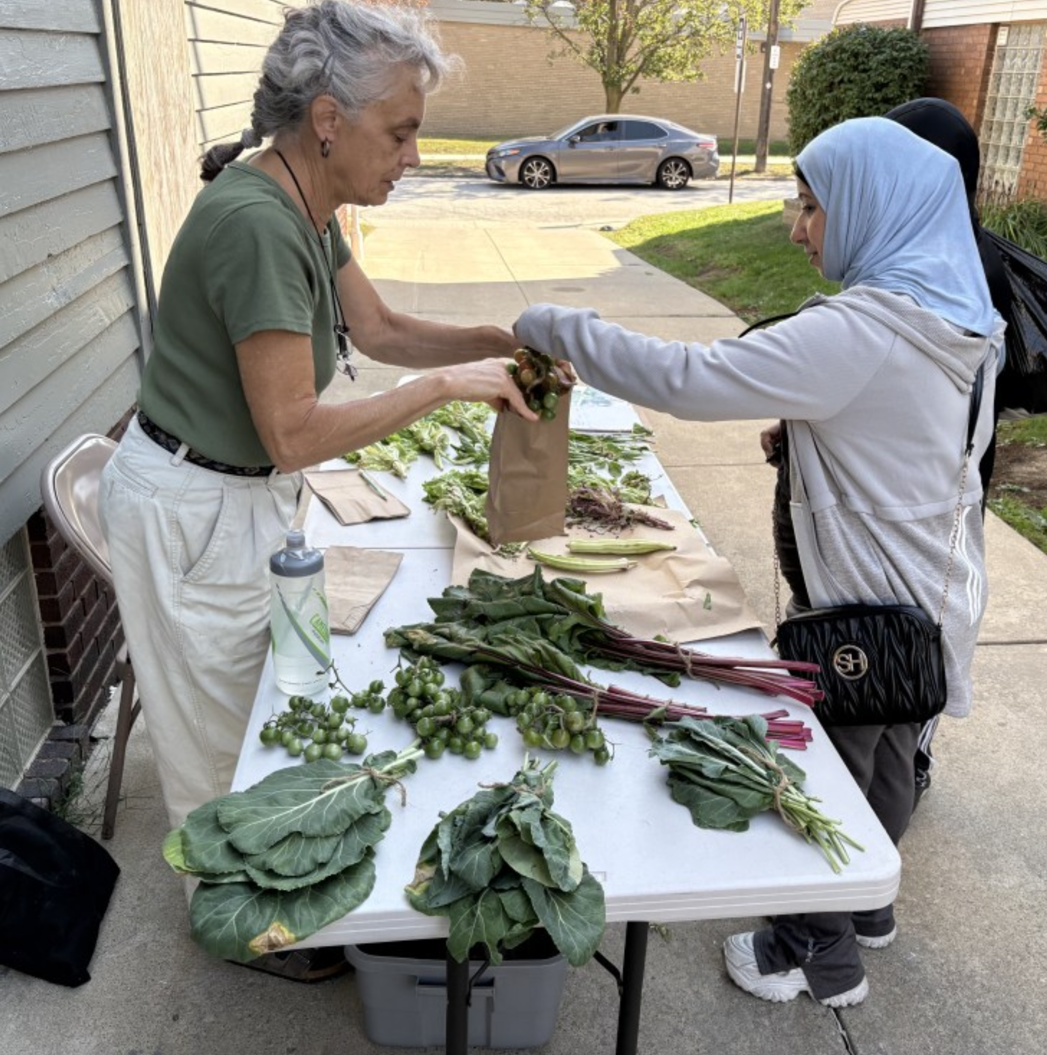 Madison Avenue Community Garden at Story Church