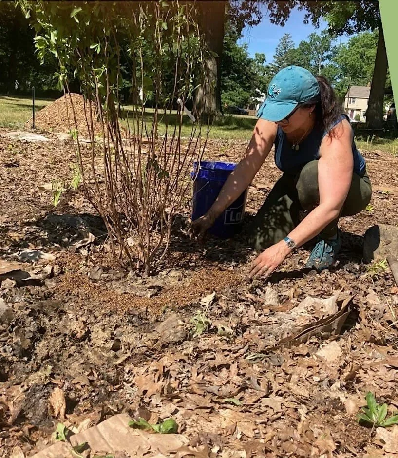 Wild Ones Native Garden Installation