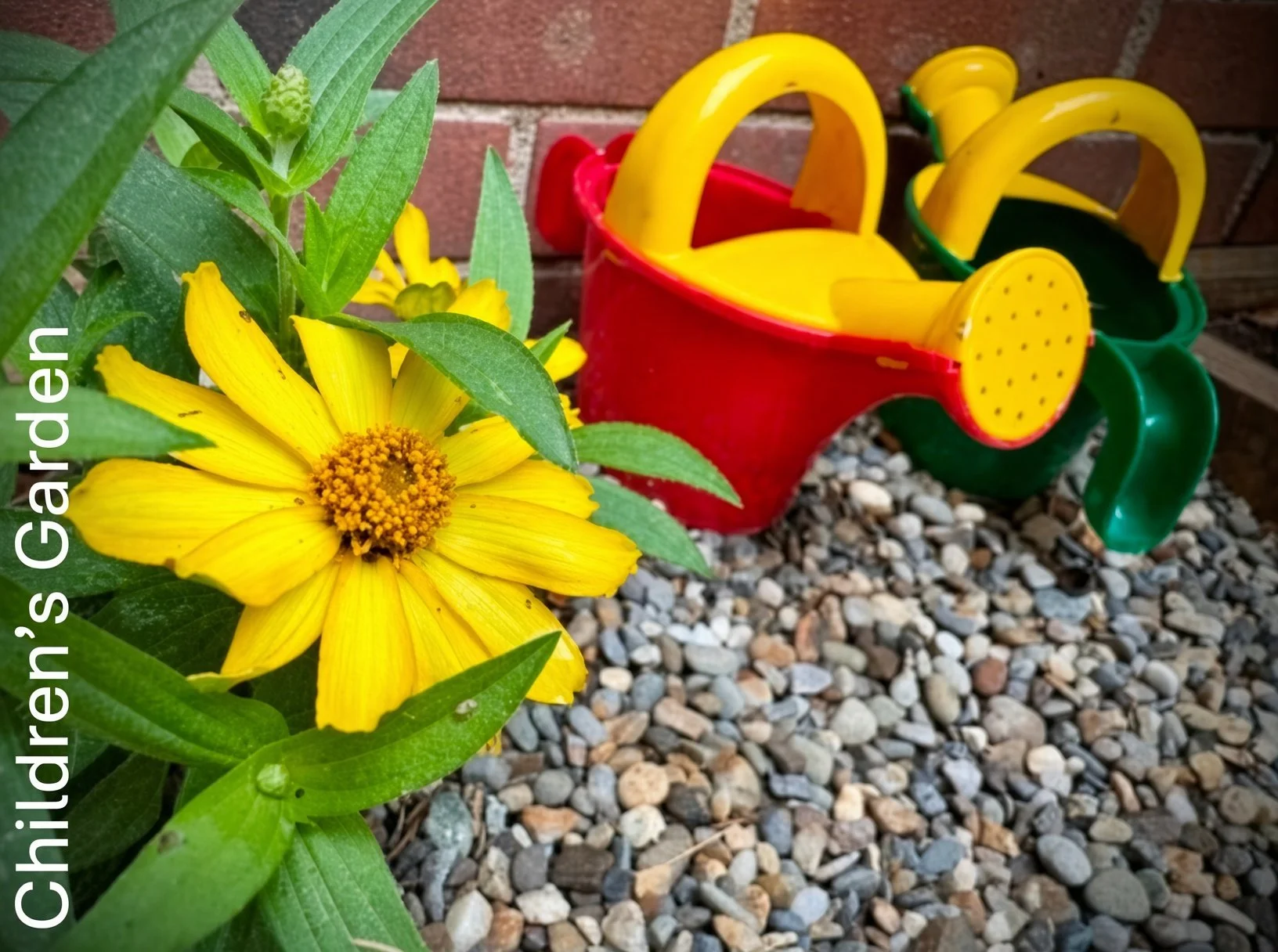 Nursery School News