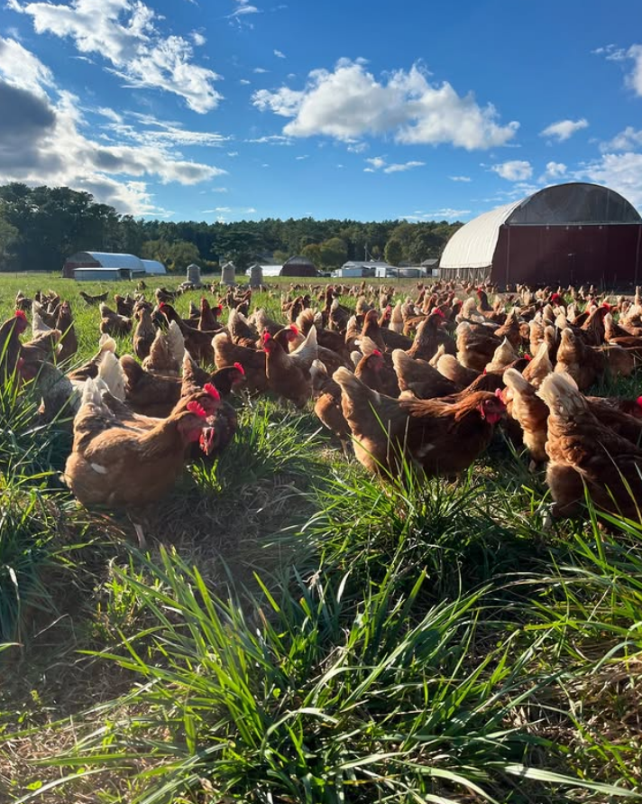 Copicut Farms