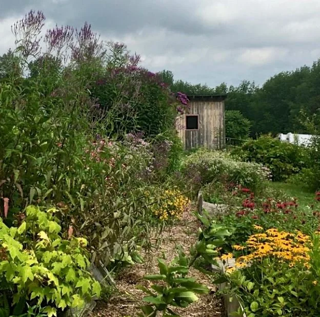 *Native Plant Education