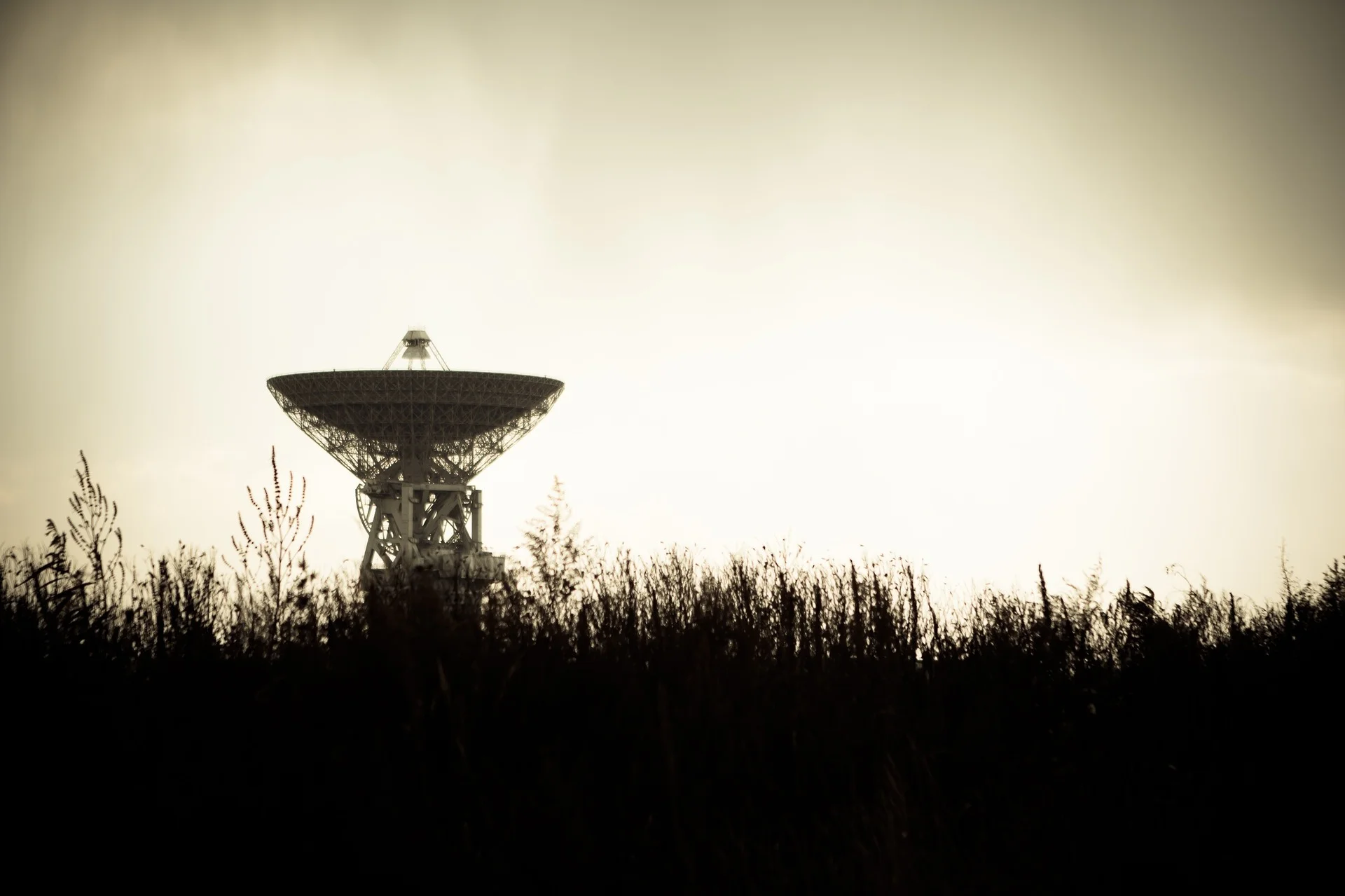 radio-telescope-1031303_1920.jpg