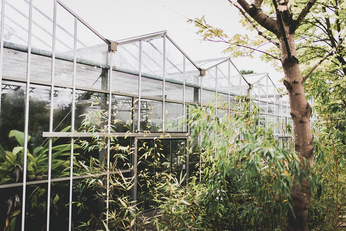 Bristol Botanic Gardens