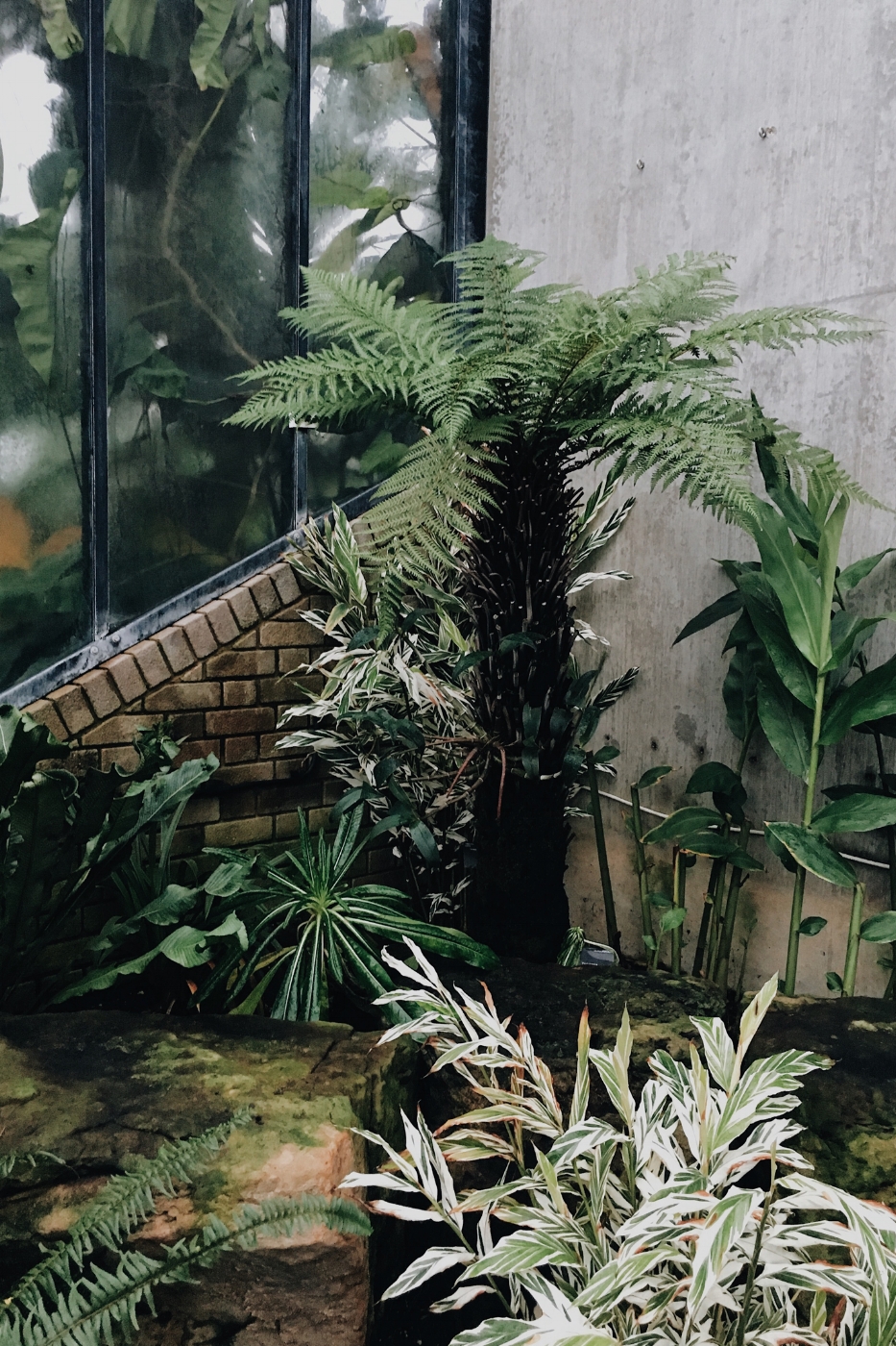 Kew Gardens - London