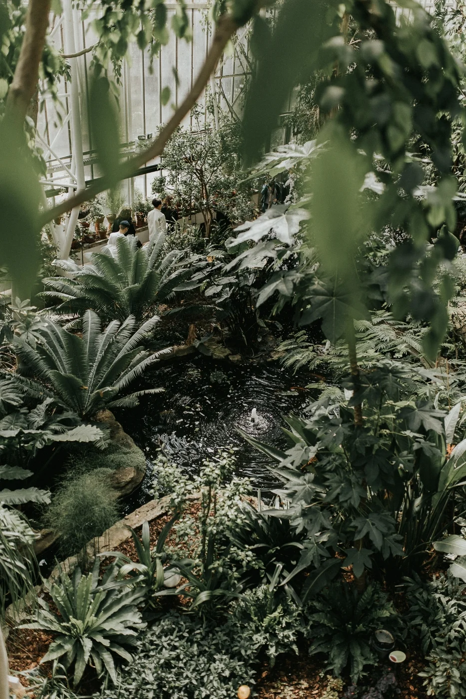 The Barbican Conservatory - London