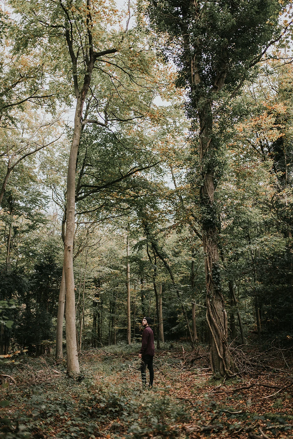 Leigh Woods - Bristol