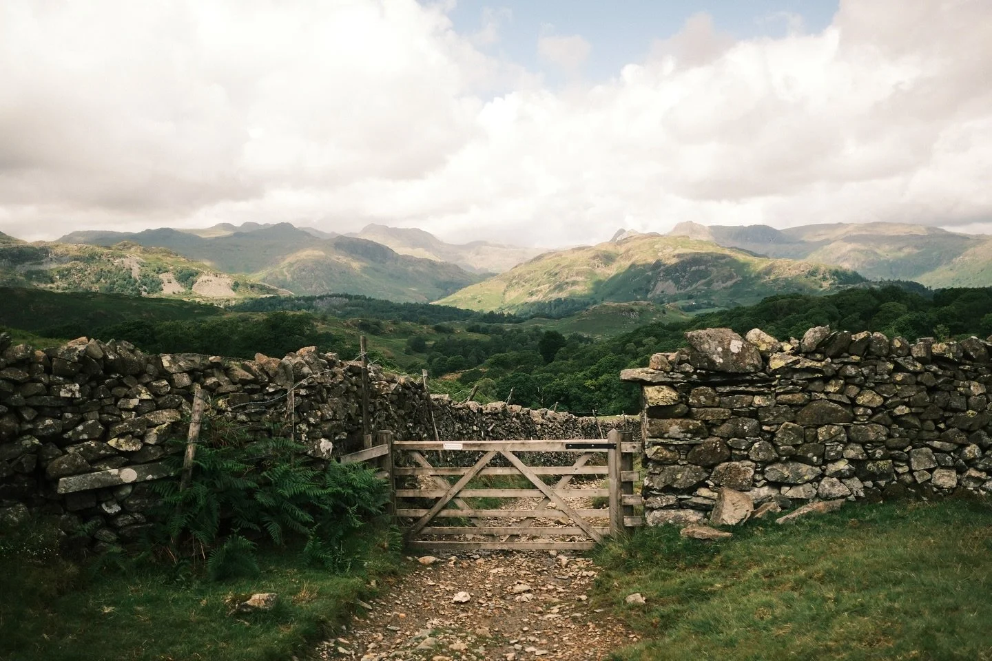 First day in the lakes. Perfect hiking weather, with incredible views. Just over 15km in total with bags of visual interest and varied terrain.

#tallpeaksandhightides #lakedistrict #hikinglakedistrict