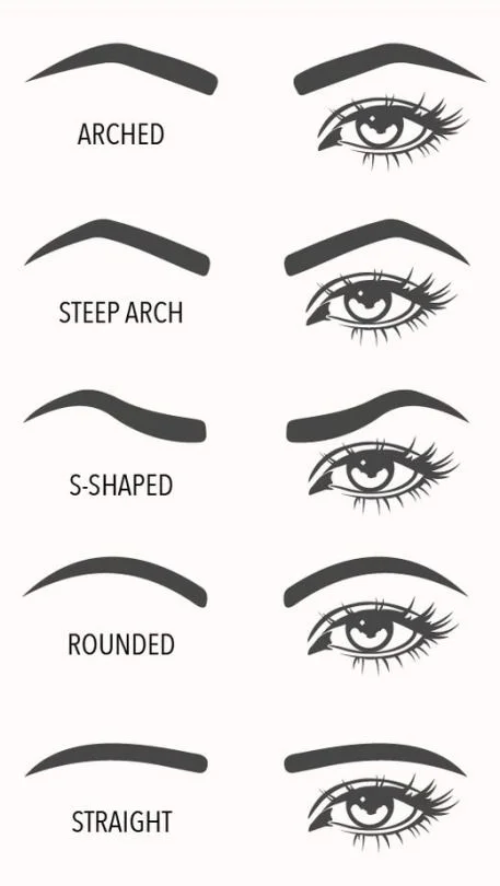 printable-eyebrow-shapes_8205.jpg