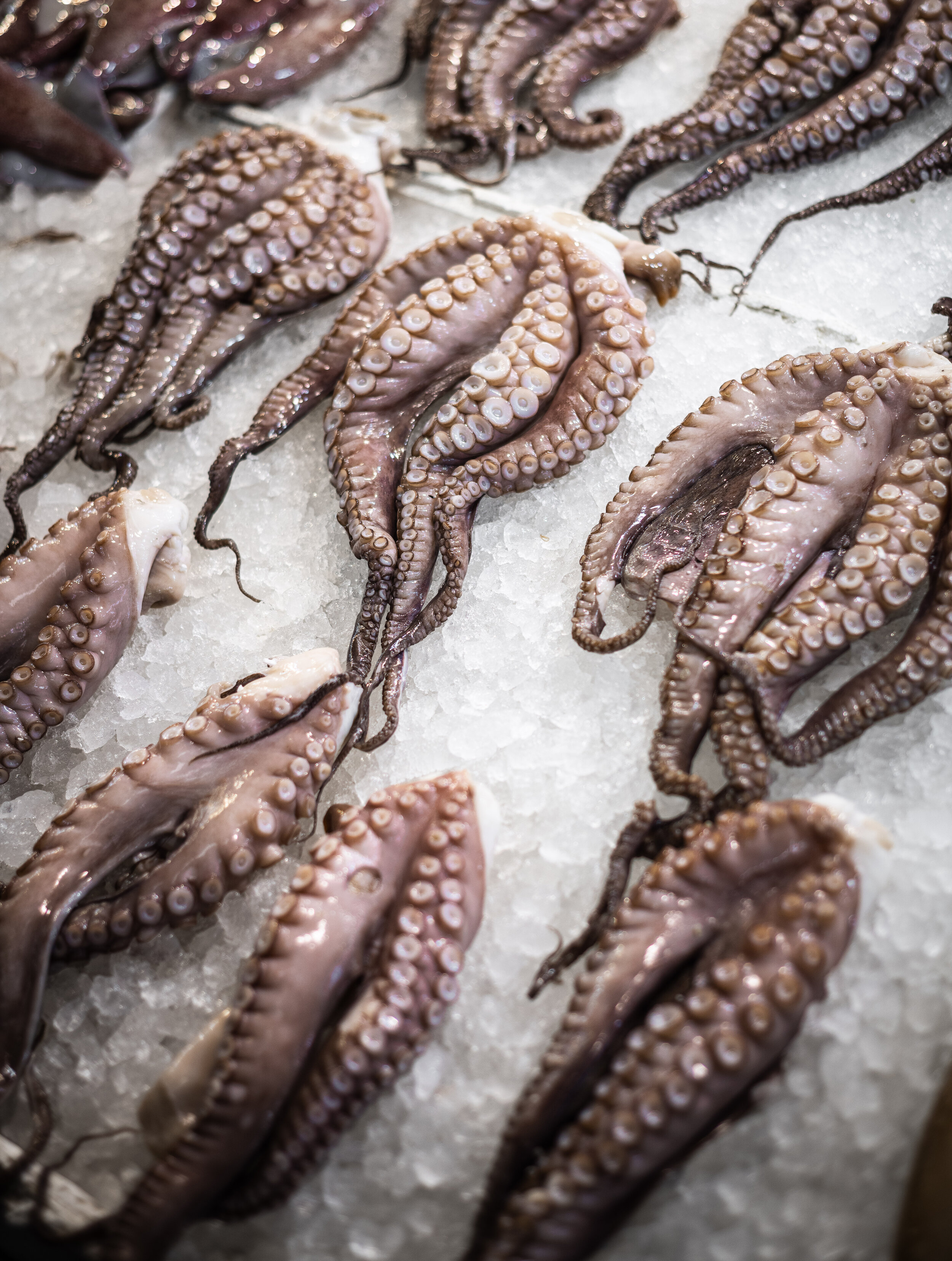 London Food and Drink Photography - Athens 2019 - Nic Crilly-Hargrave-93.jpg