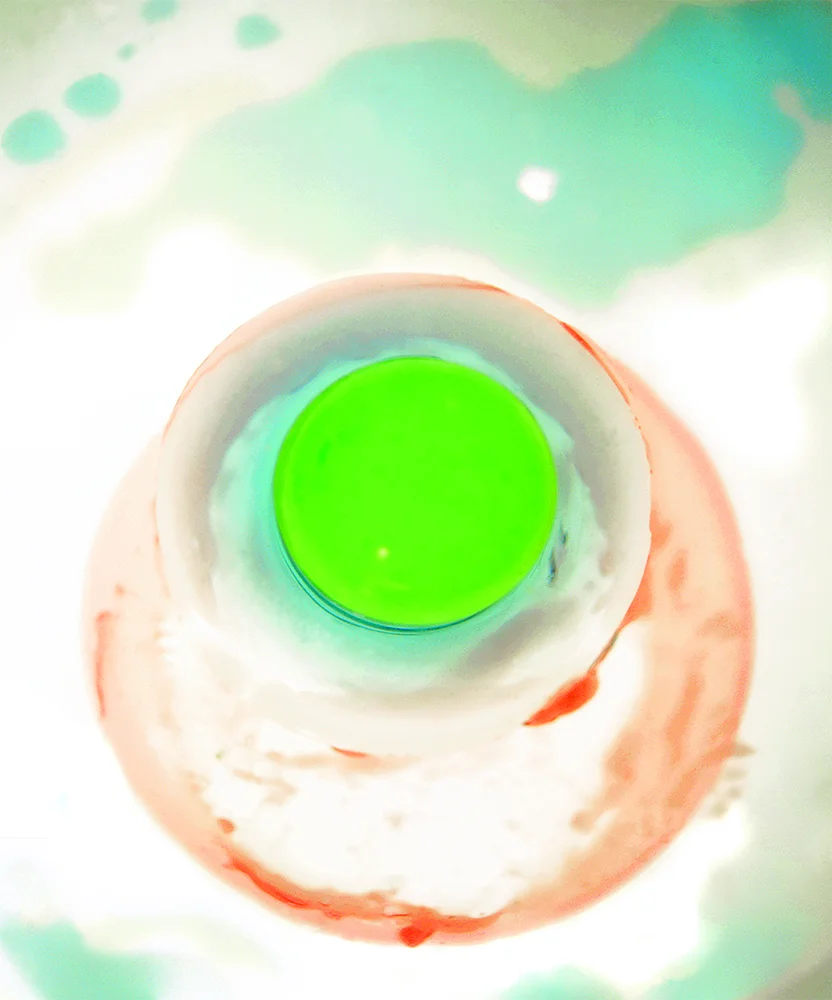 Green Eggs, 2005