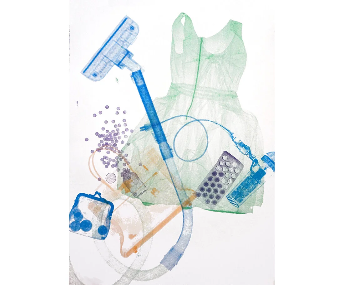    Domesticated ,  8-layer Screen-print, 22" x 32", 2017 