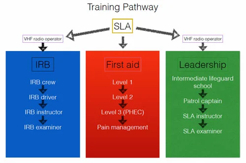 trainingpathway.jpg
