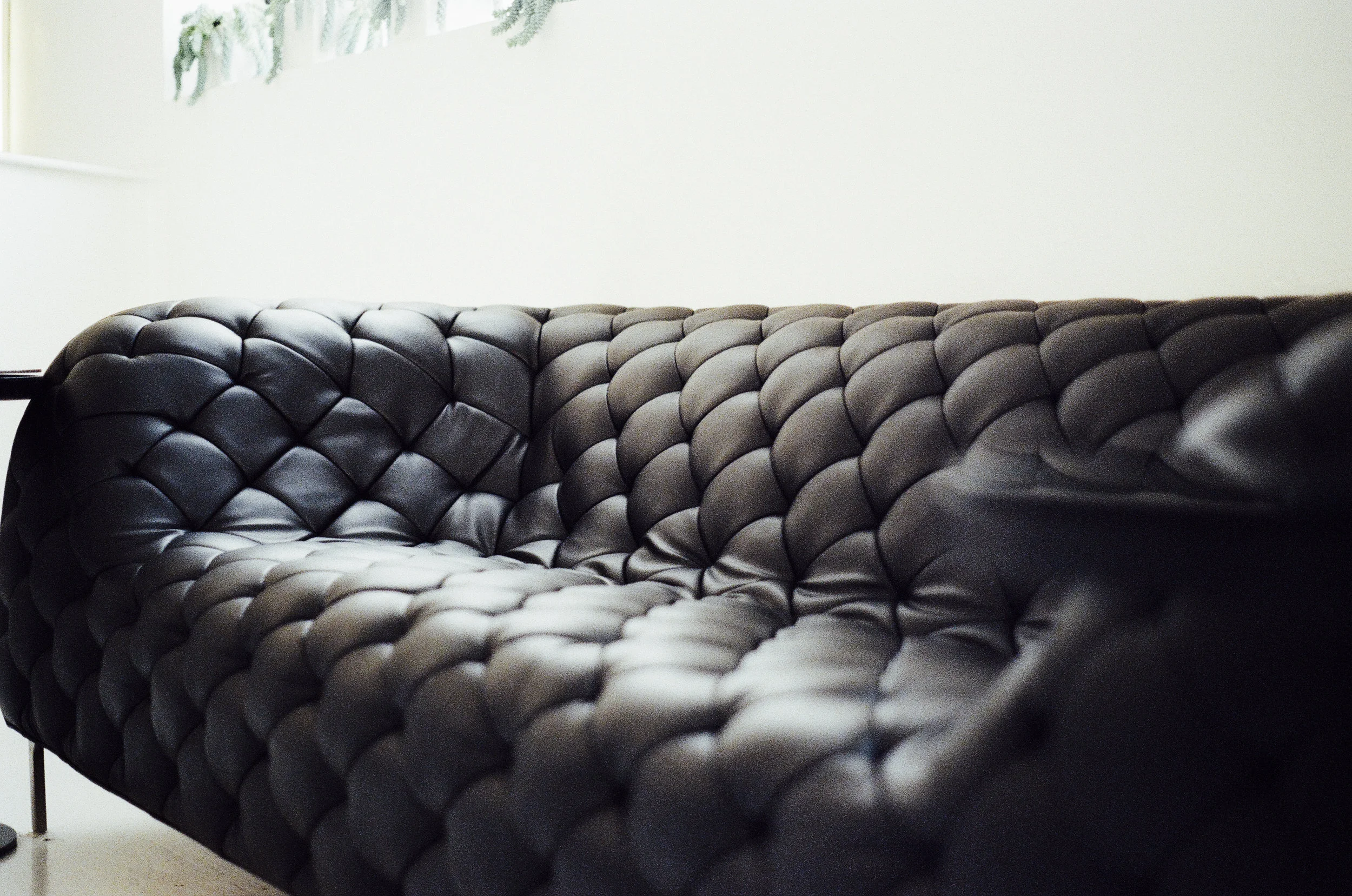couch (2).jpg