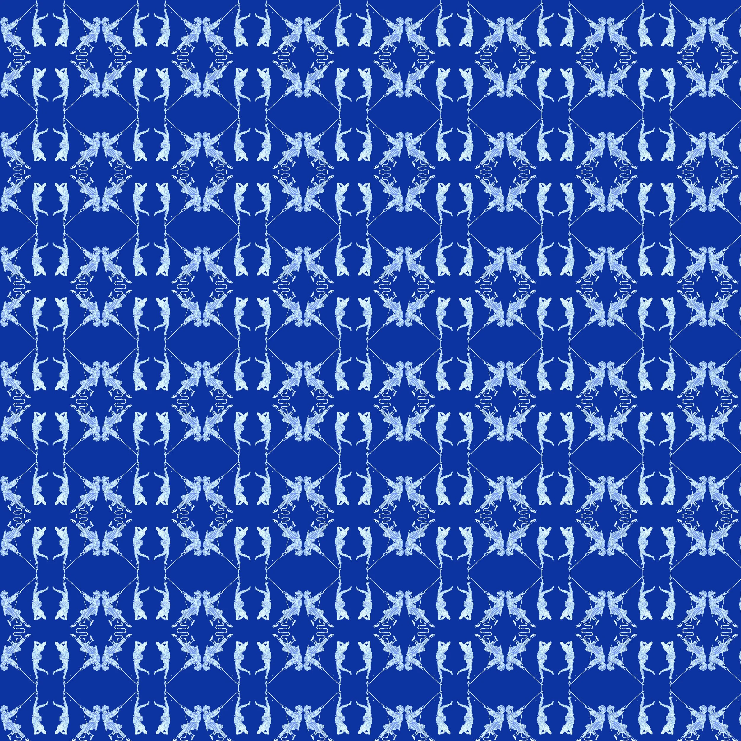 lidodgebluewithrope.jpg