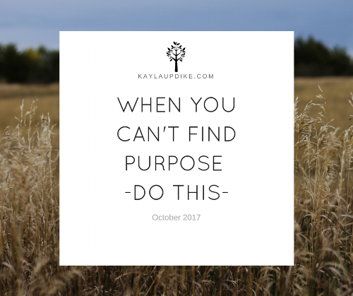 WHEN YOU CAN'T FIND PURPOSE - DO THIS.png