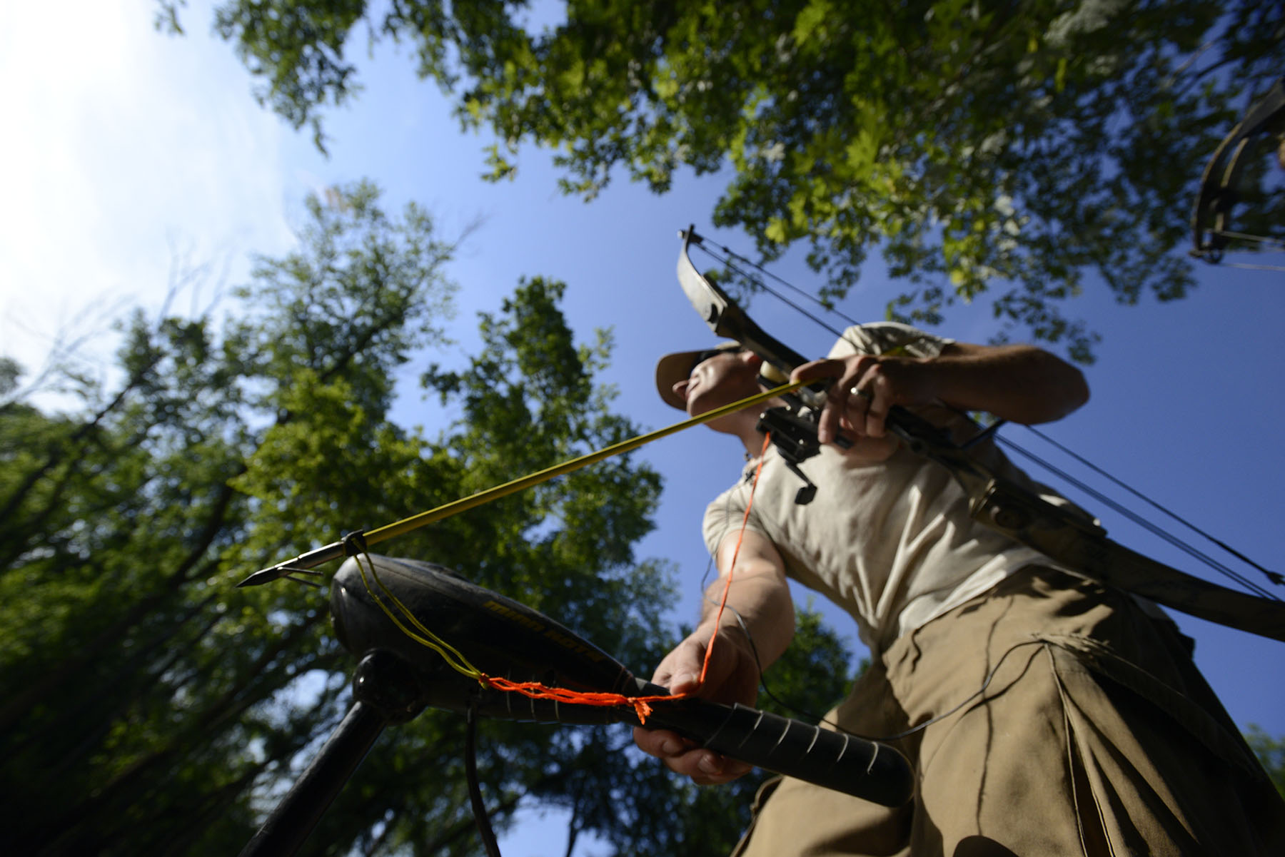  Columbia resident Guy Lanphere steers his boat while looking for carp along Moniteau Creek near Rocheport, Missouri, on June 10, 2015. Lanphere steered carefully and slowly so as not to scare any fish away. 