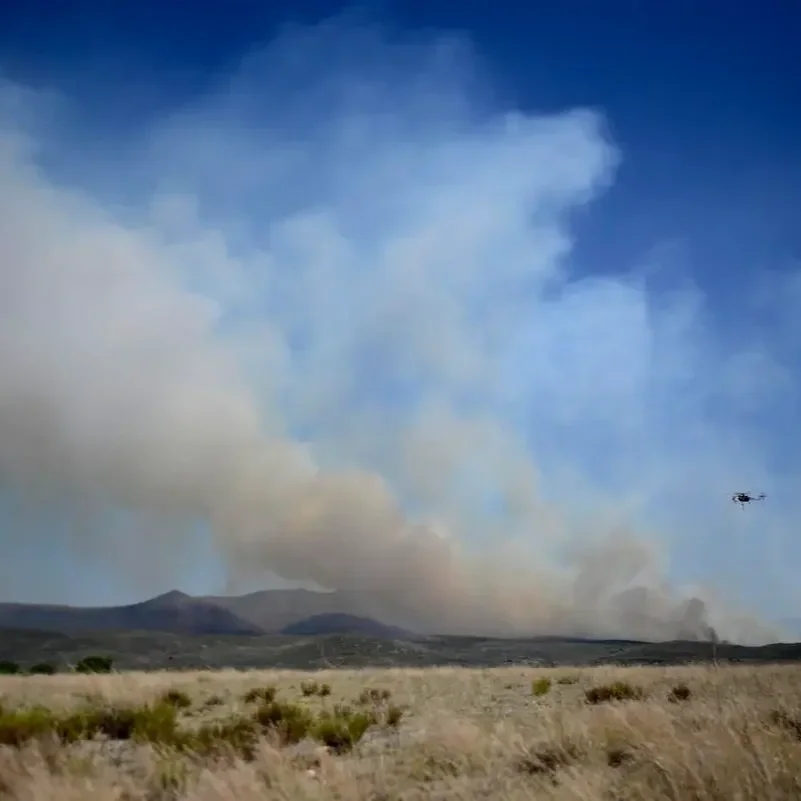 Number of evacuees rises to near 300 in Arizona brush fire