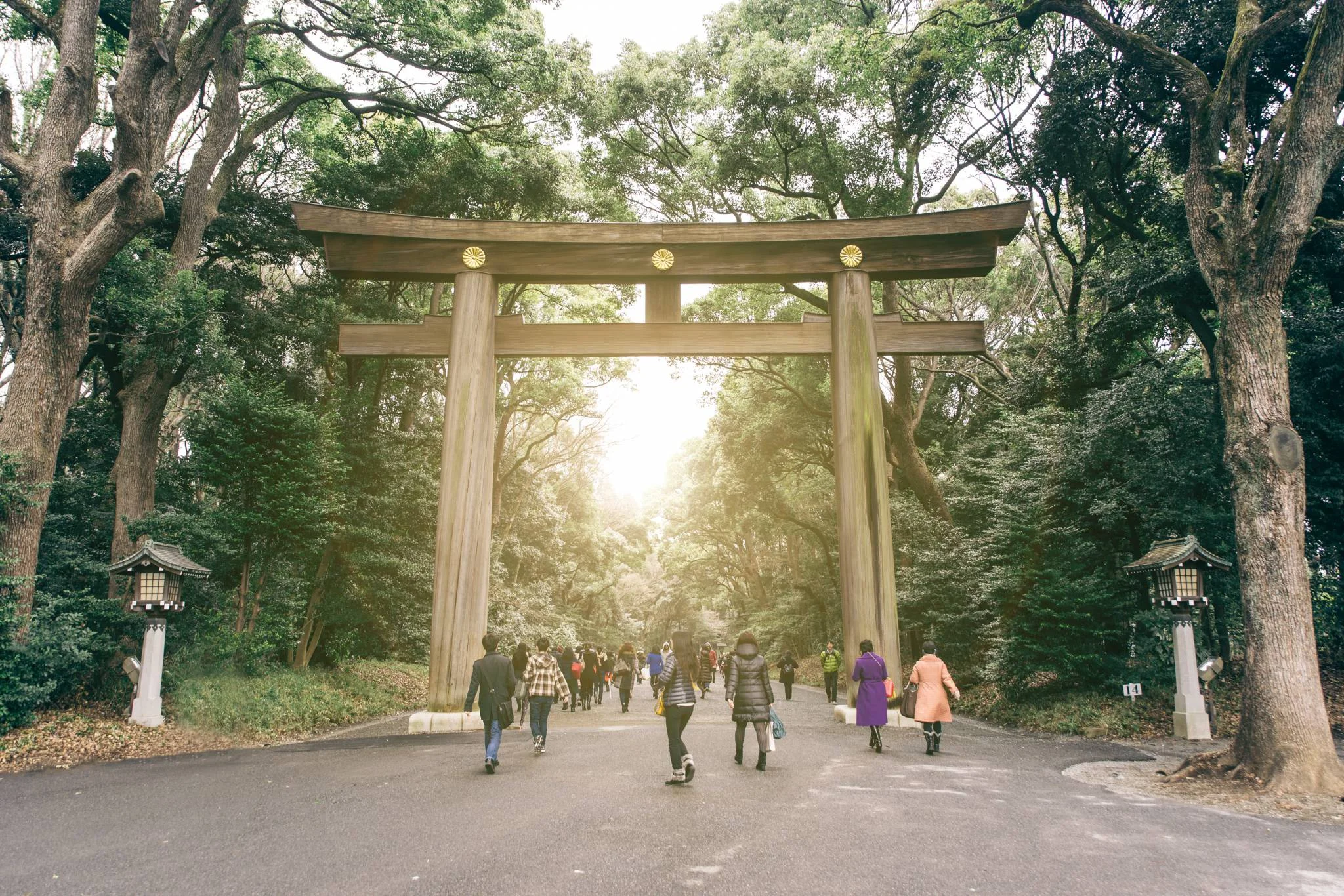 Pack your things and say kon'nichiwa Tokyo, Japan!