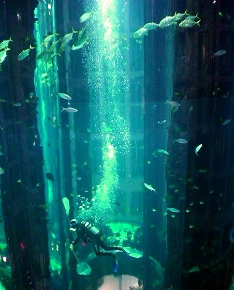 2 aquadom Berlin_Aquadom.jpg