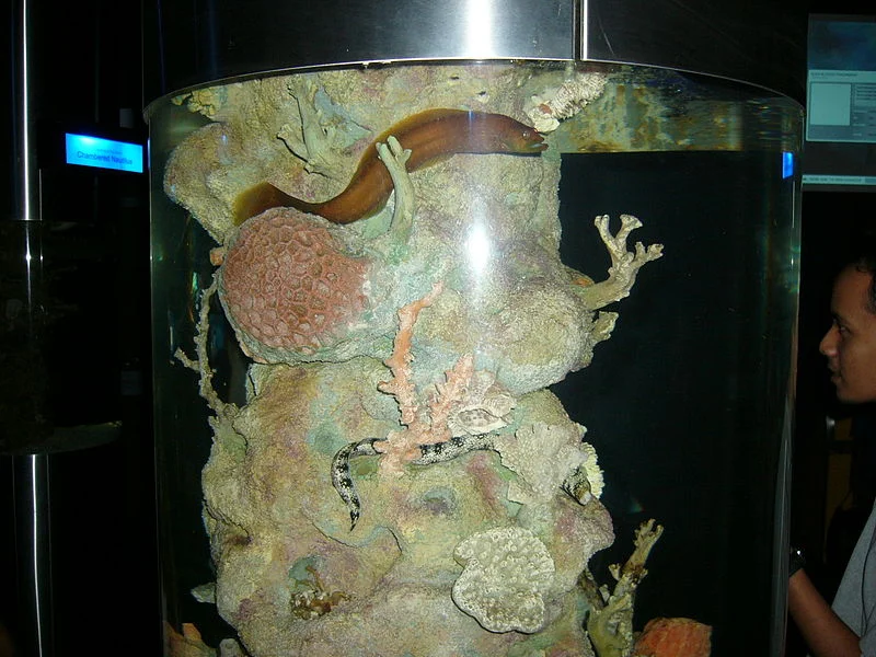 6 klcc Kuala_Lumpur_Aquarium.JPG