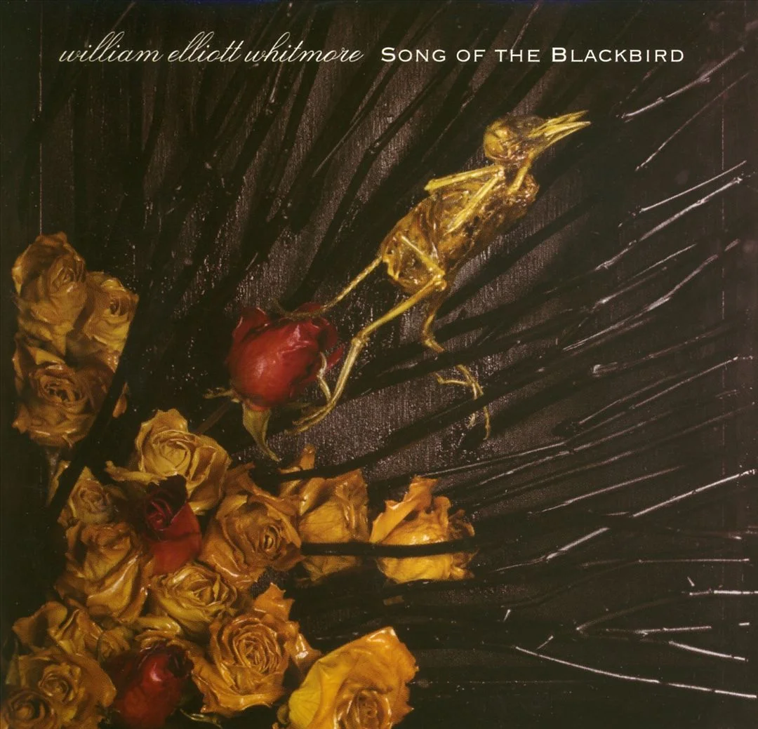 Song of the Blackbird - 2006