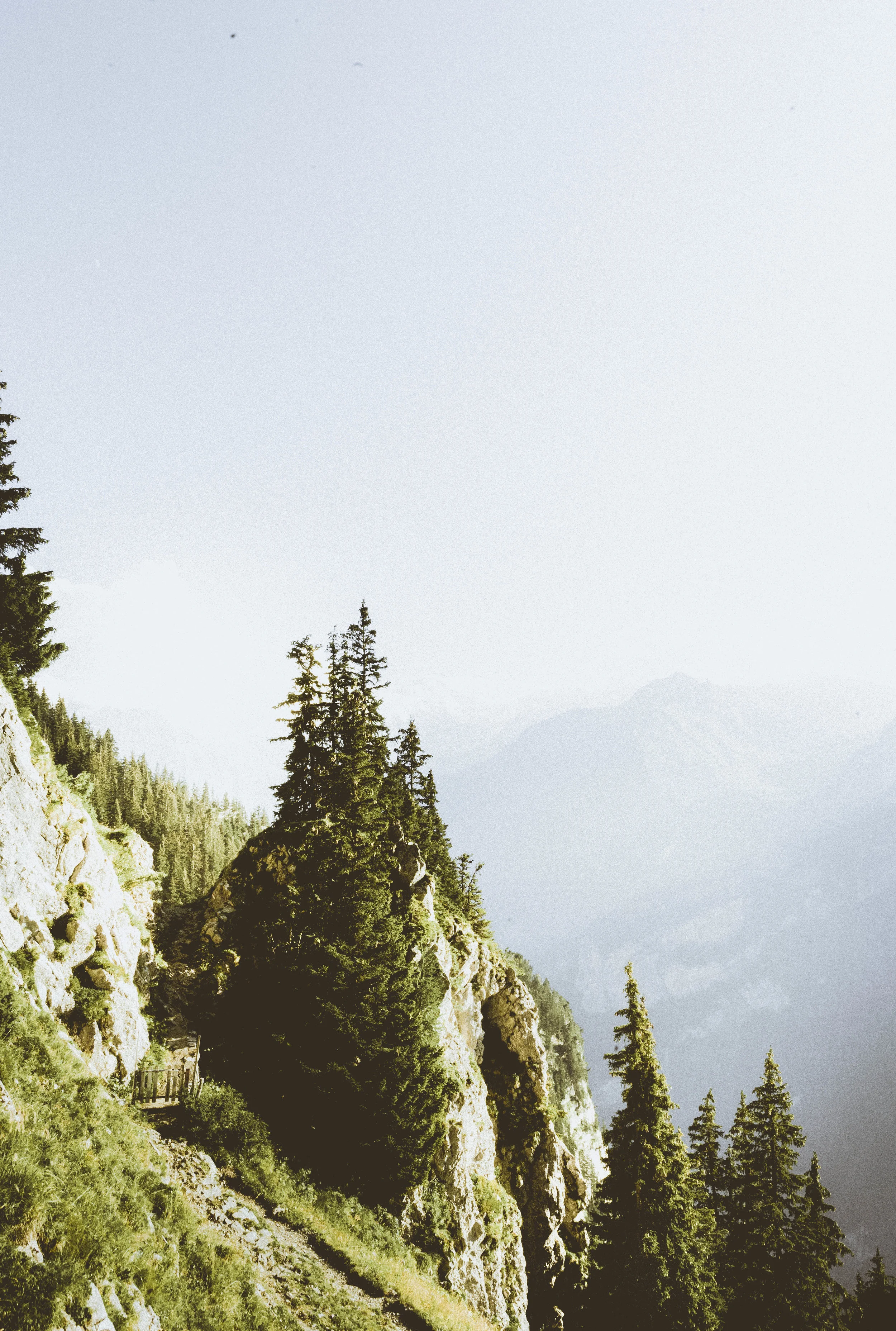 DSC_9303-Edit.jpg