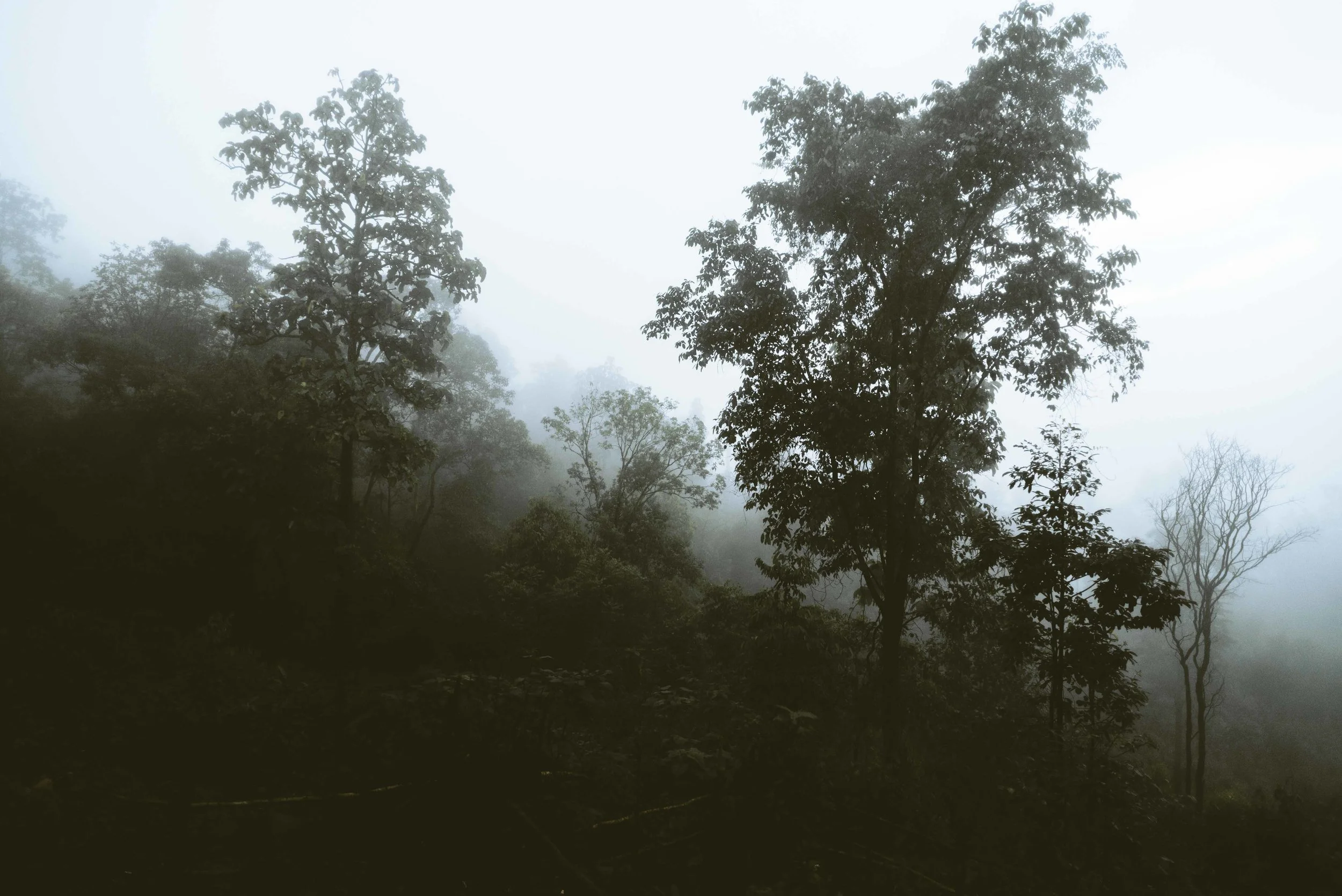 DSC_1534.jpg