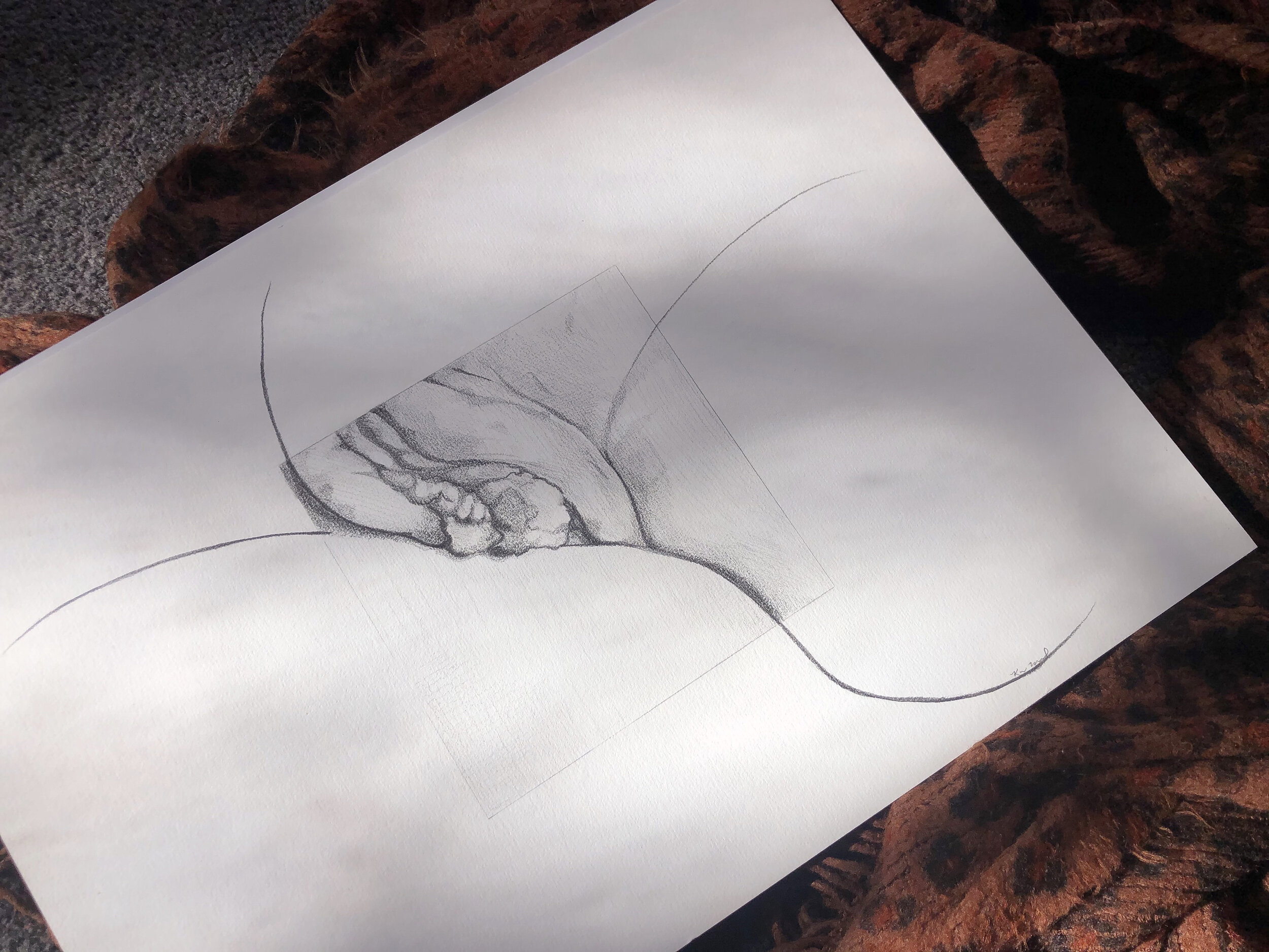 Origins (the Cathedral)