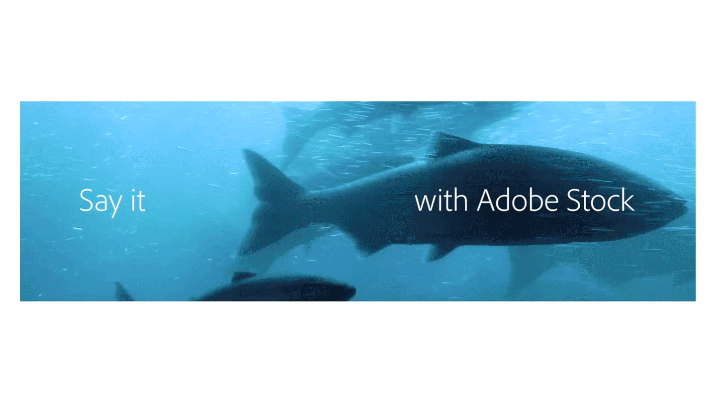ADOBE_STOCK_US_SAYITSUMMER_RAINBOW_30_16x9_MASTER_WEB.gif