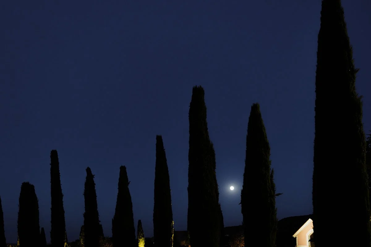 boda-catedral-la-redonda-finca-marques-de-vargas-Logroño-152.jpg