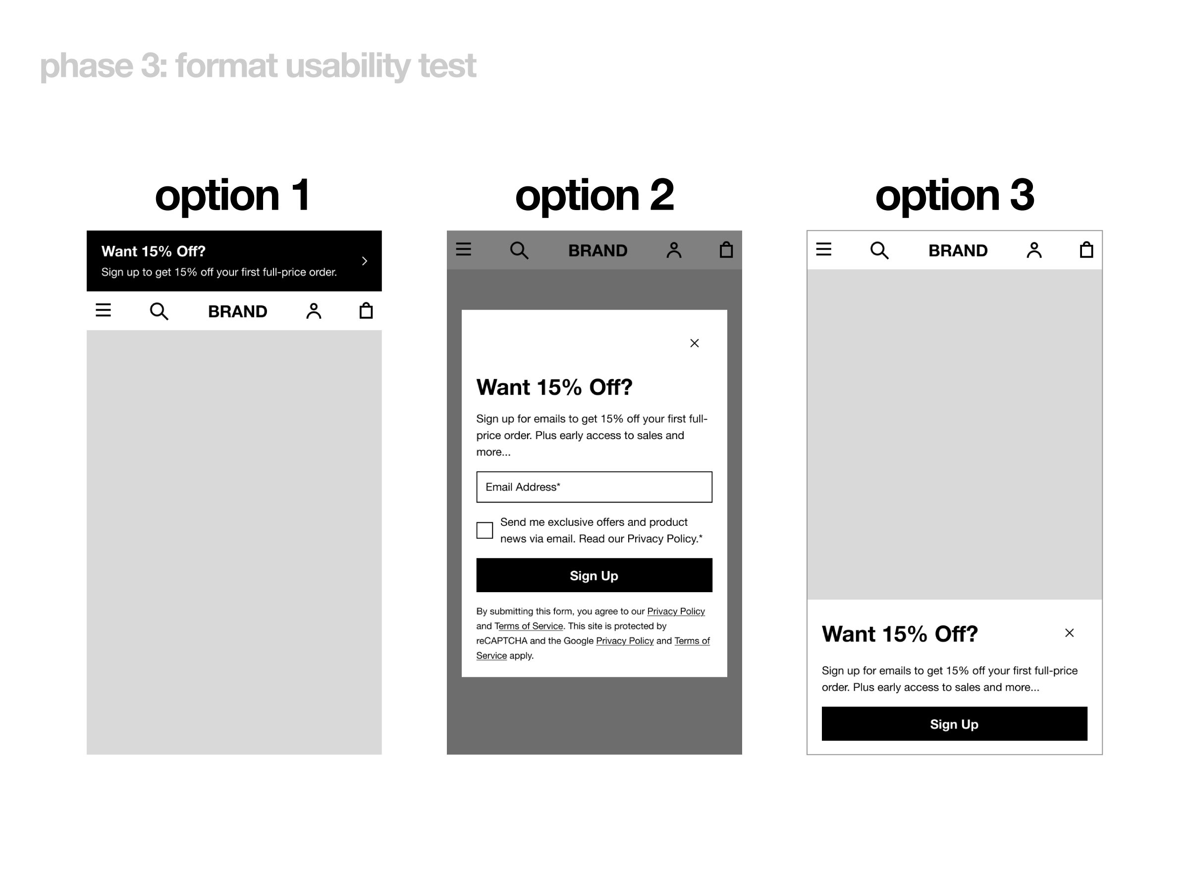 Phase 3: Format Usability Test