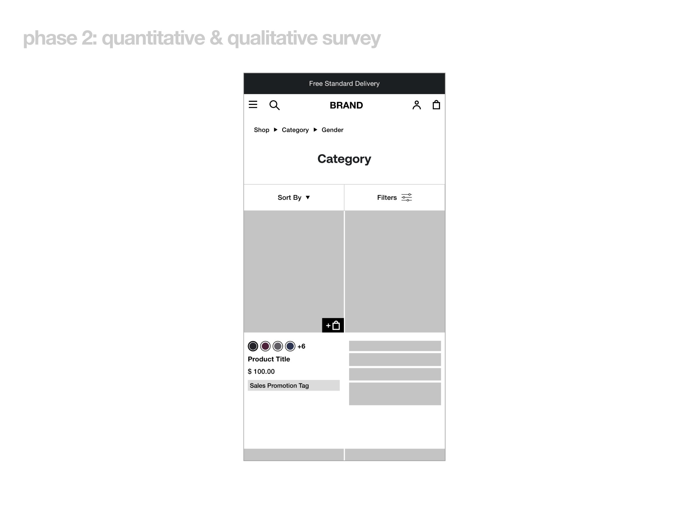Phase 2: Quantitative & Qualitative Survey