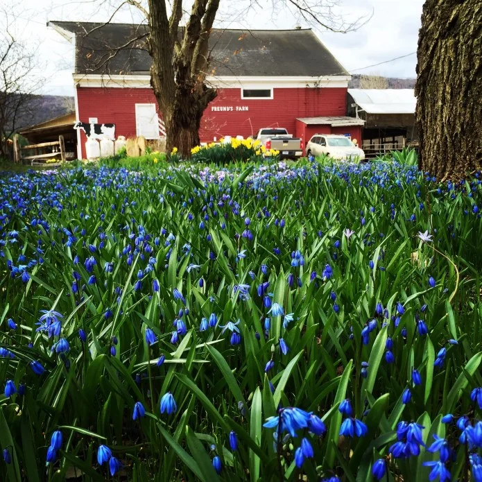 April on the farm
