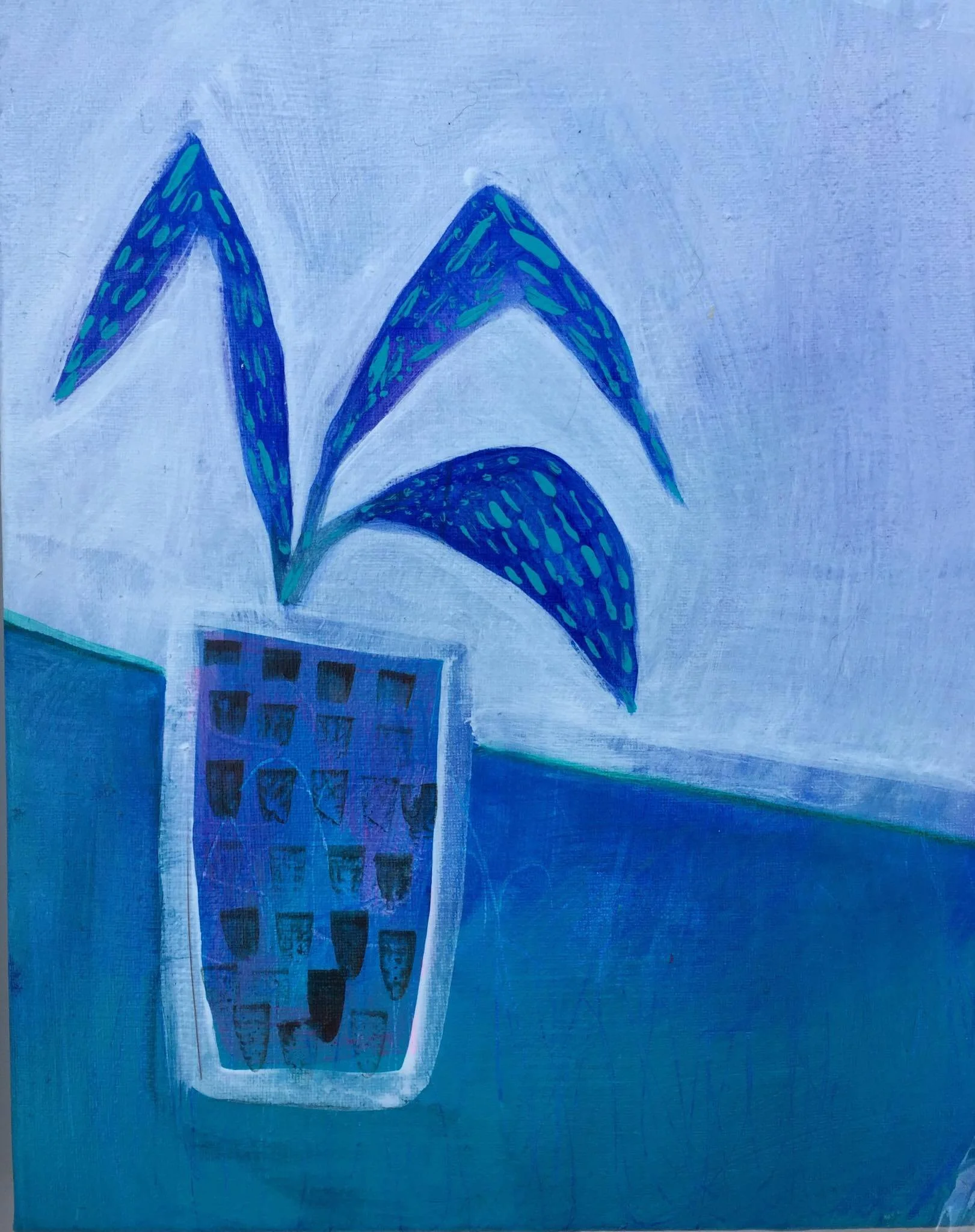 Blue fern.jpg