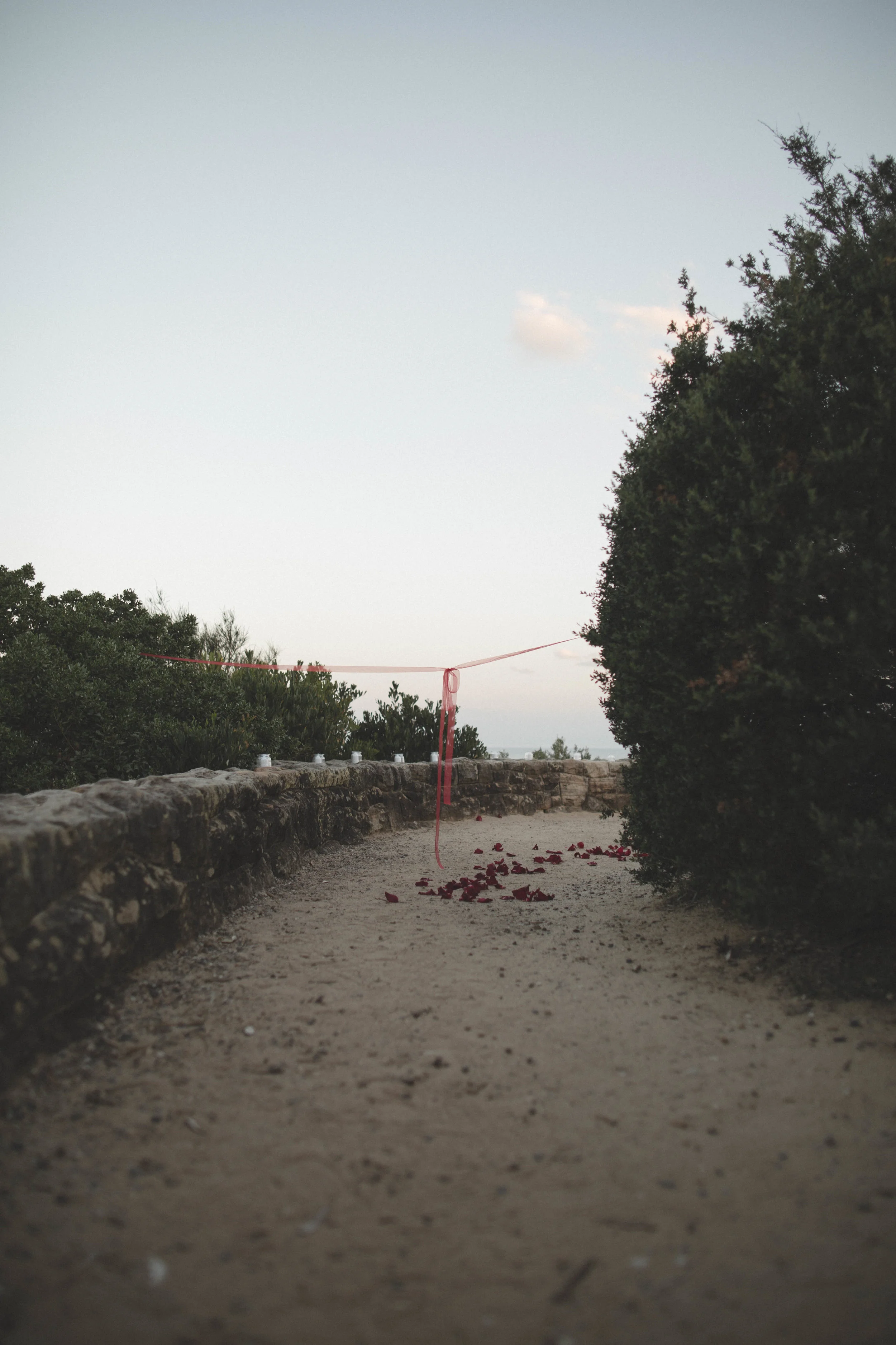 _H7A3820.jpg