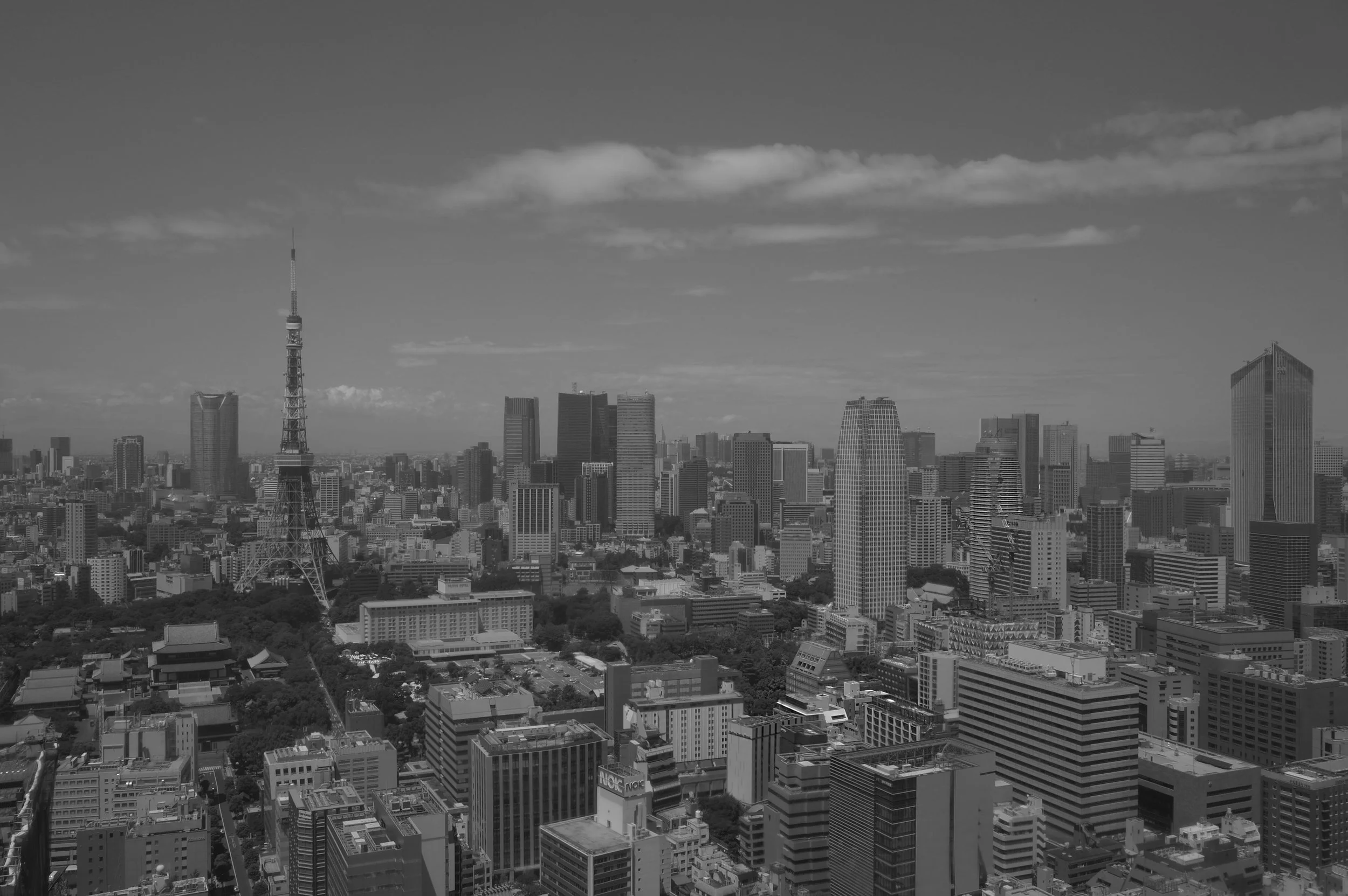 Tokyo_Panorama2b.jpg