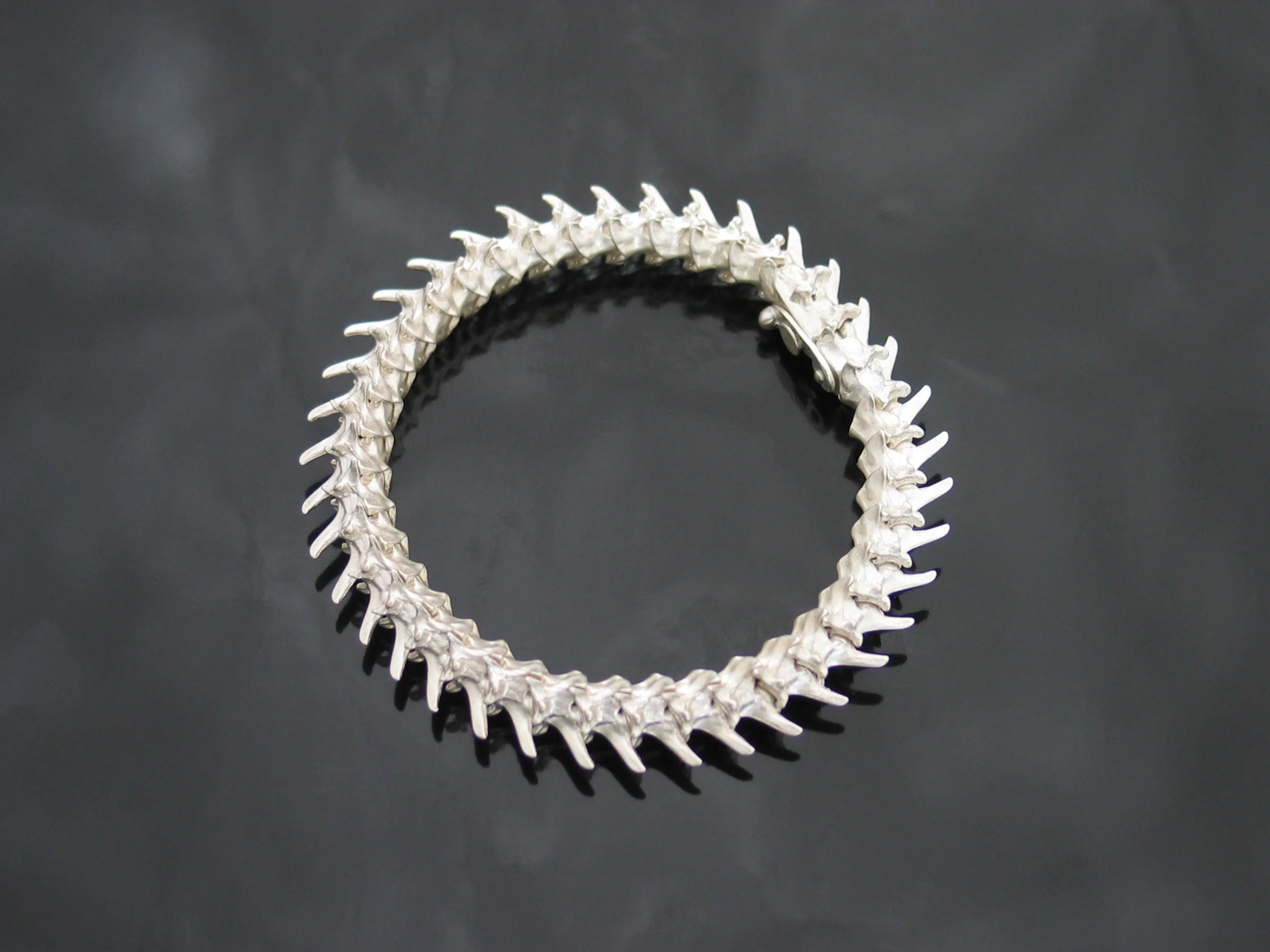  Vertibracelet - Silver, NdFeB Magnets 