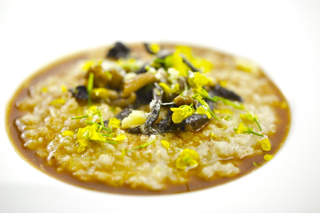 parsnip porrige 2.jpg