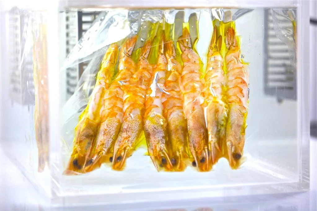 shrimp.jpg