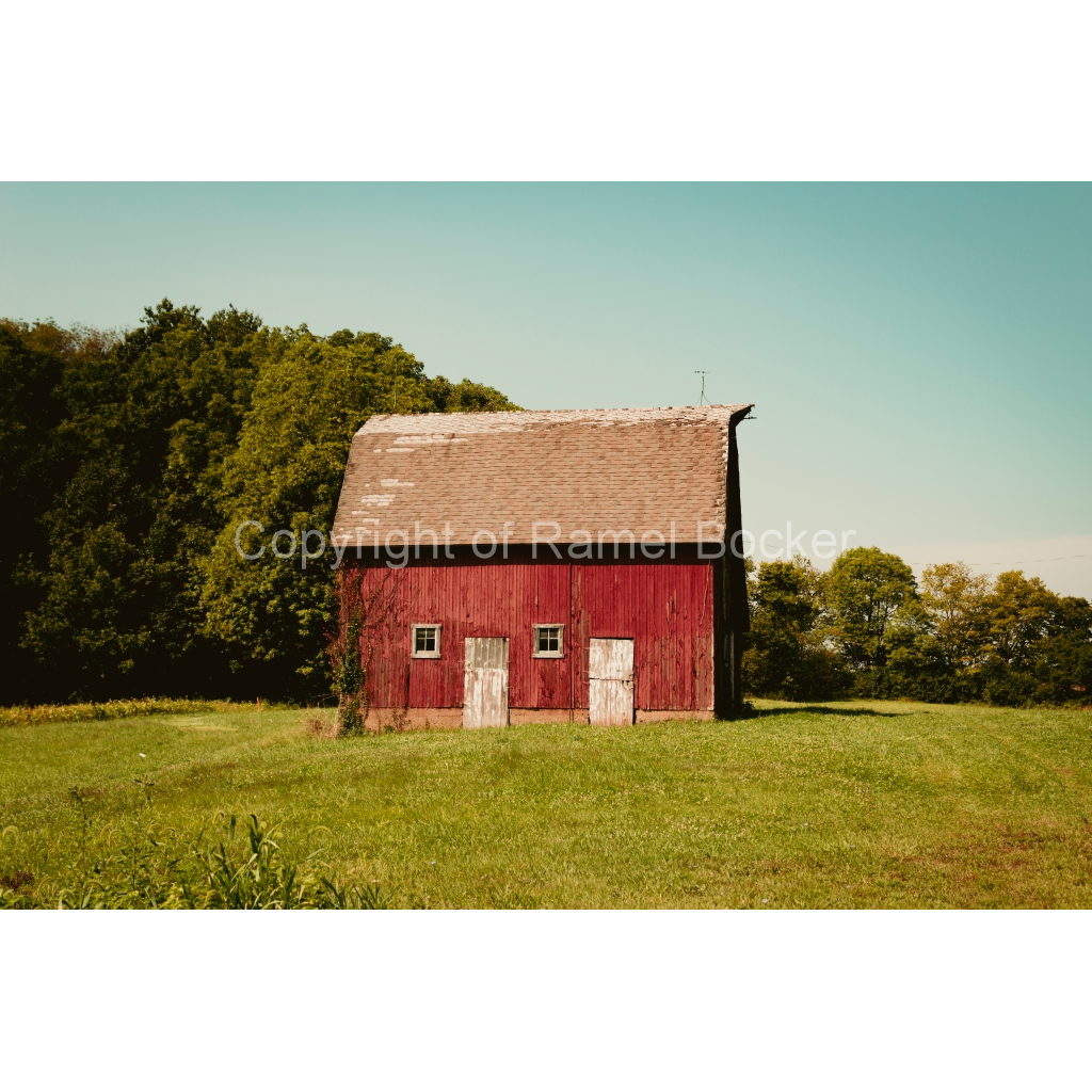 image_original_1ccee8d095da5338b8e6ca1903bd7500.png