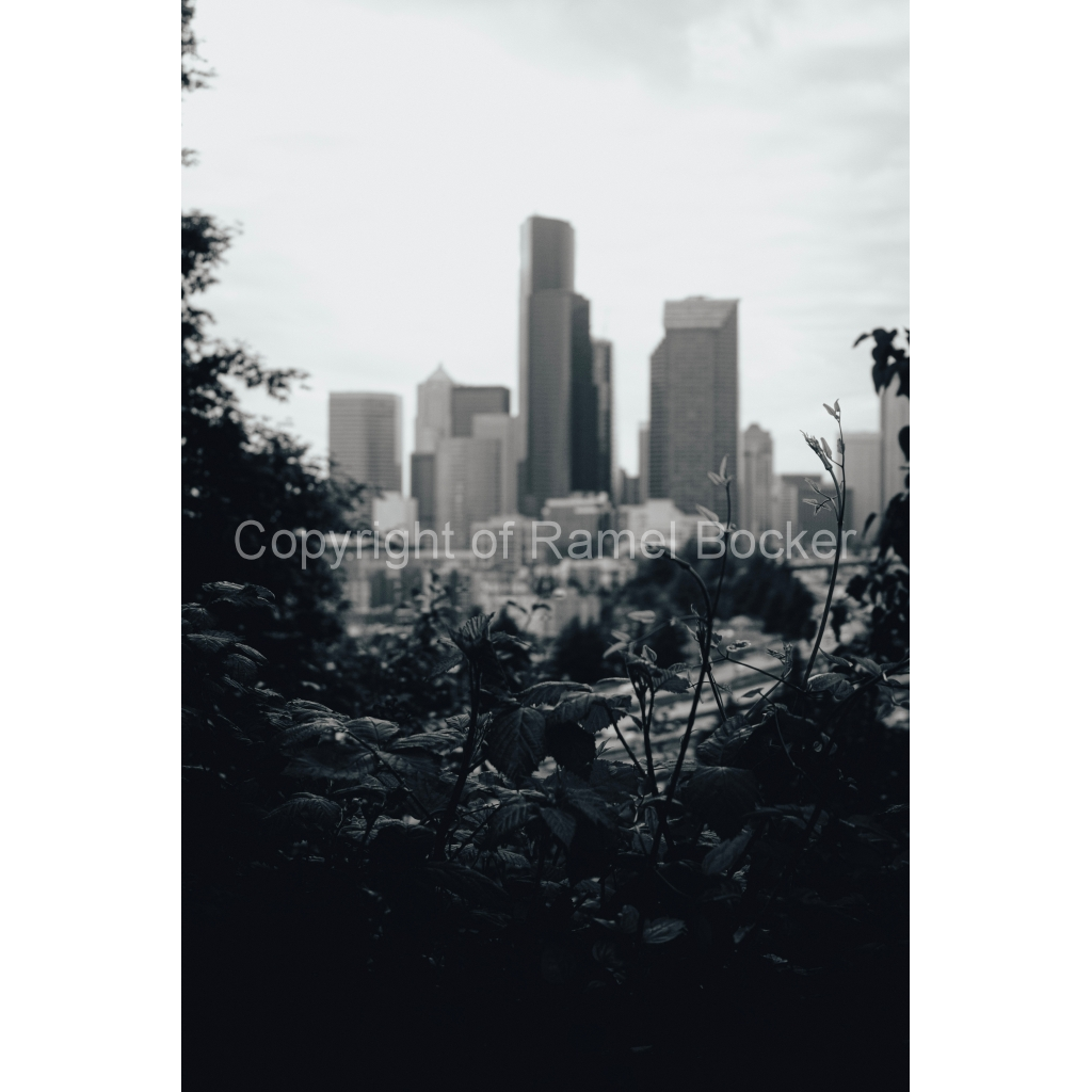 image_original_1ccee8d095da5338b8e6ca1903bd7500.png