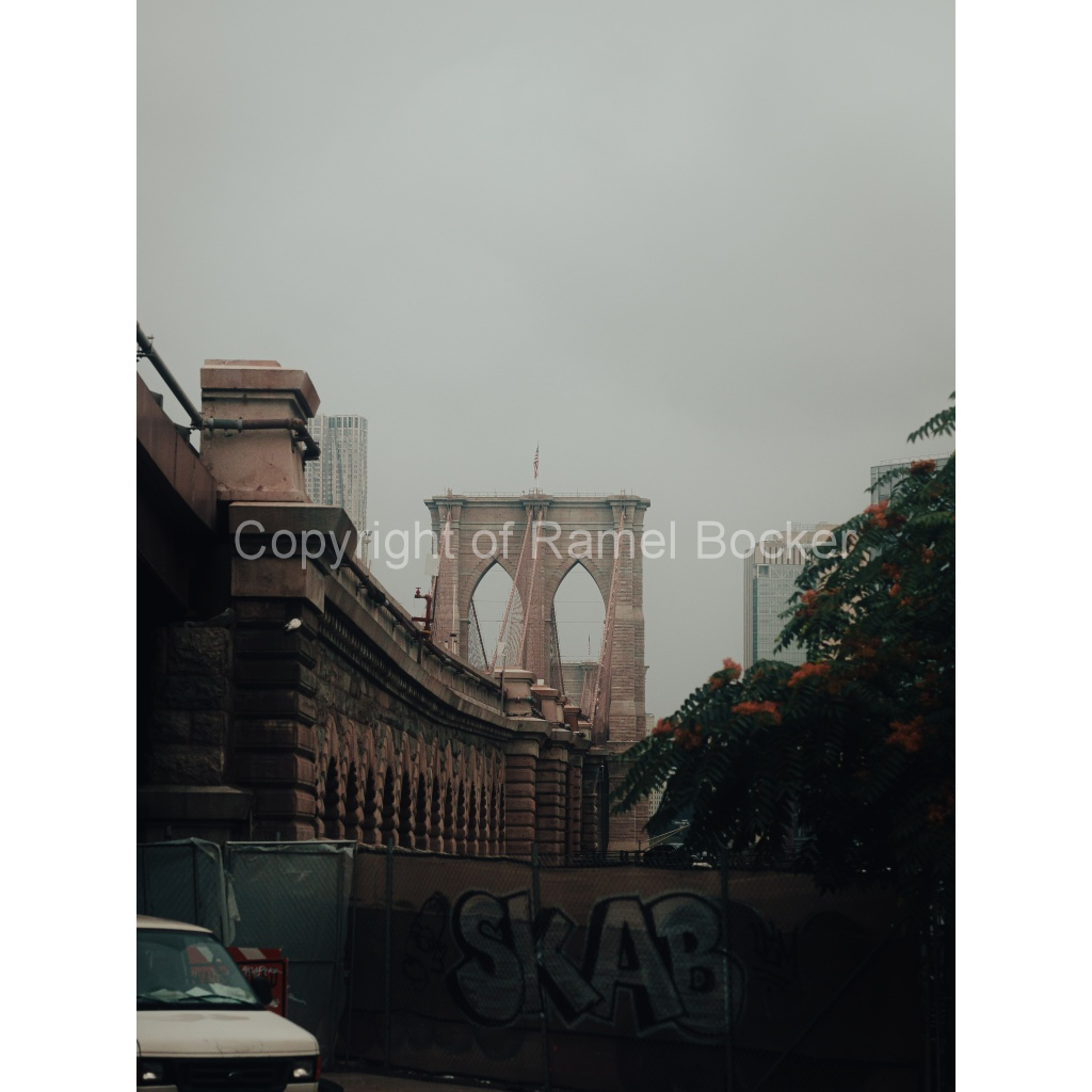 image_original_1ccee8d095da5338b8e6ca1903bd7500.png