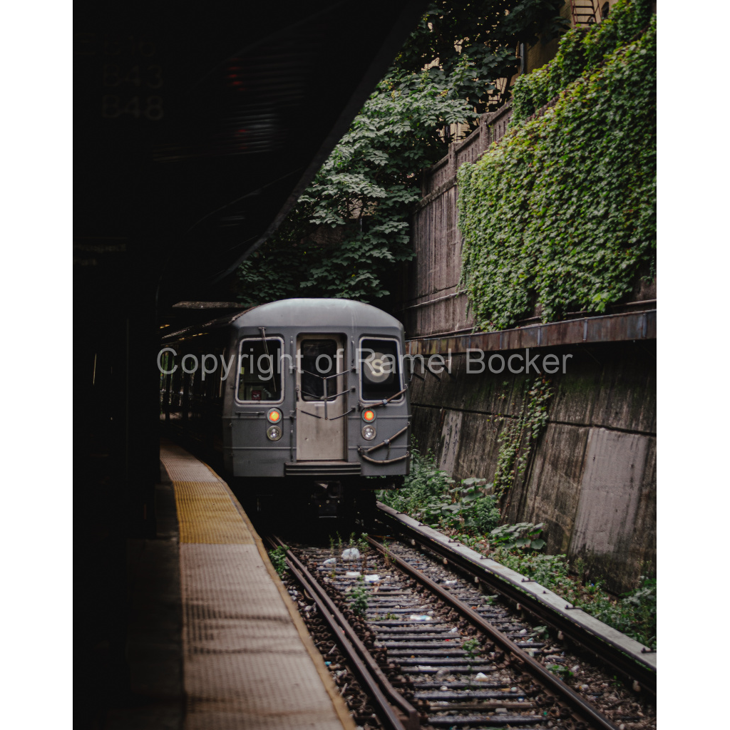 image_original_1ccee8d095da5338b8e6ca1903bd7500.png