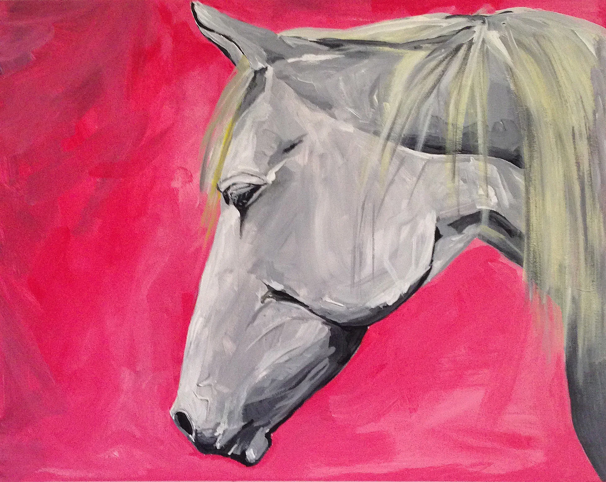 horse 2.jpg