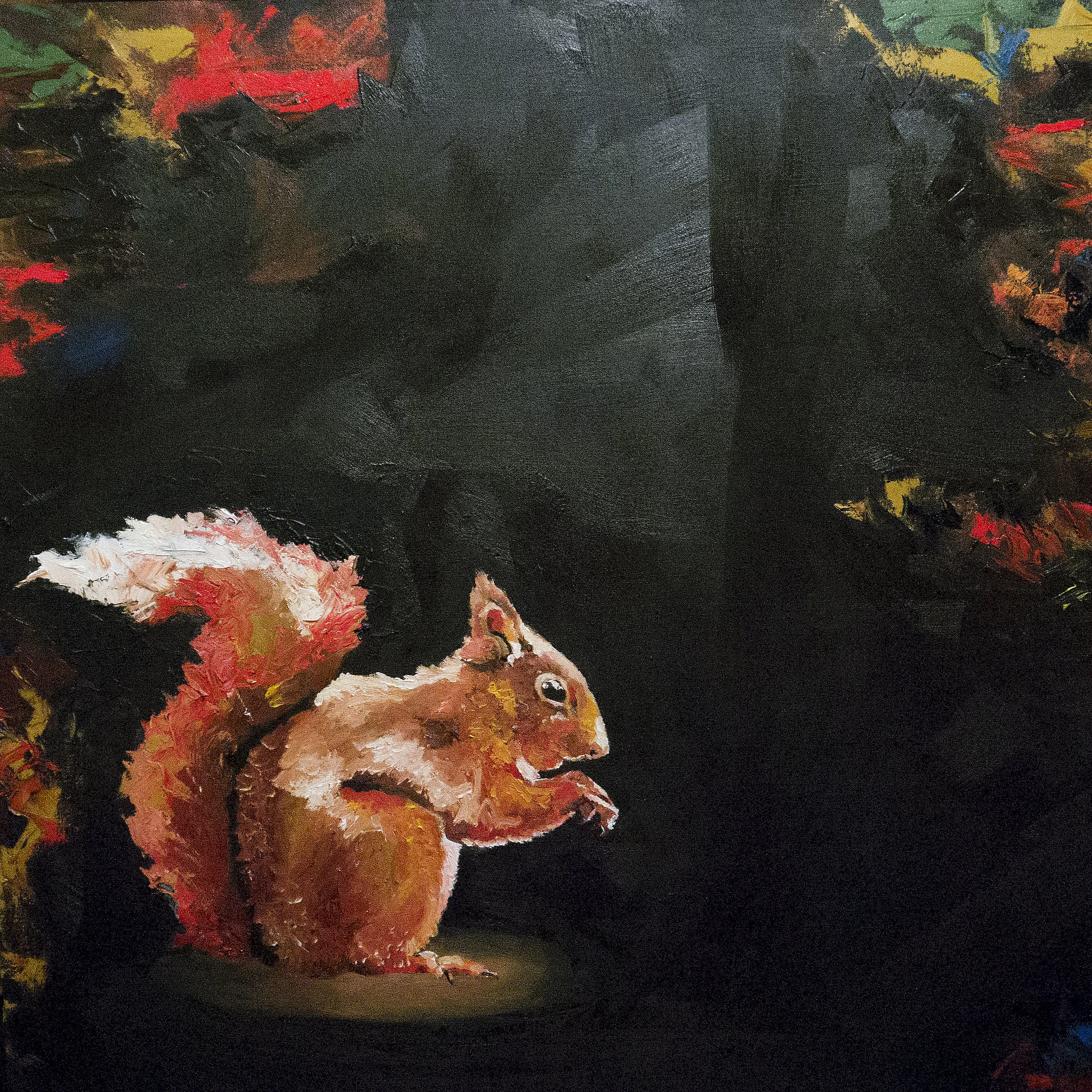 squirrel.jpg