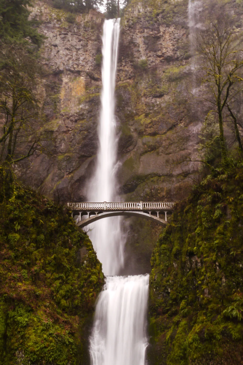 Multnomah Falls cascading down a rocky cliff with a bridge crossing the lower part, surrounded by green trees and mossy rocks. Photographed by Kayla Duffney Creative.