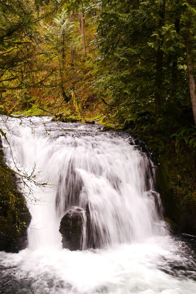 Waterfall cascading over rocks in a lush forest with green trees and moss. Photographed by Kayla Duffney Creative.